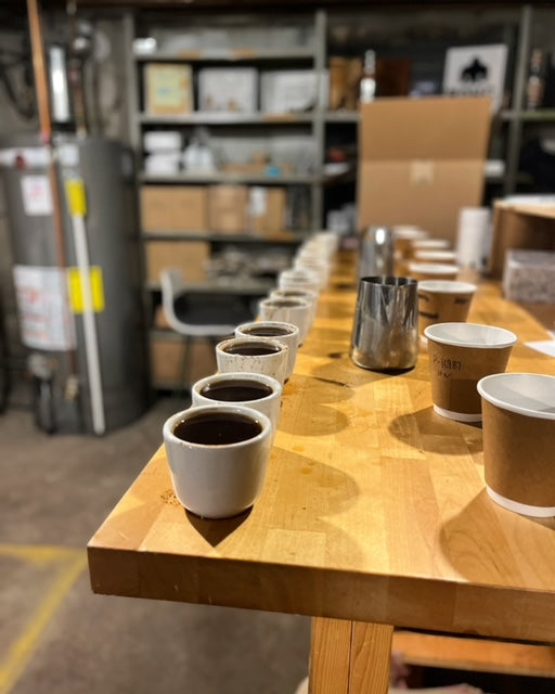 How to Cup Coffee Like a Pro: A Beginner's Guide